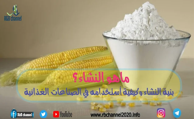 نشا | بنية النشاء وكيفية استخدامه في الصناعات الغذائية