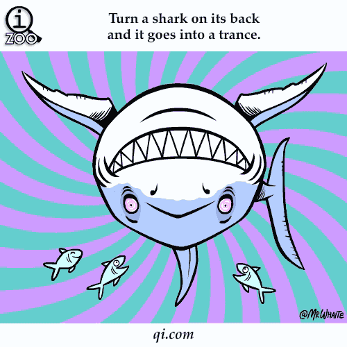 True Animal Facts Explained in Funny Animations