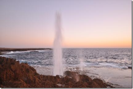 blowhole ahead