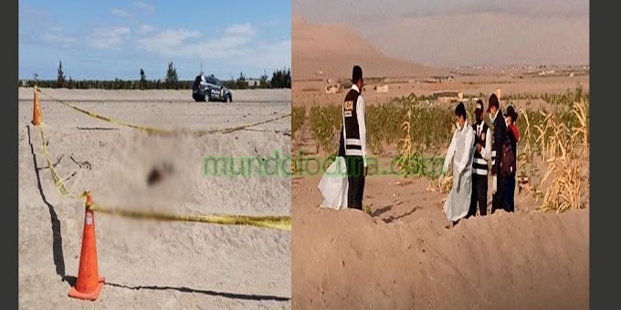 Perú: Dos hombres son enterrados y torturados en chacra - Tacna
