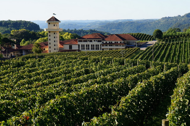 Vinícola Miolo em Bento Gonçalves