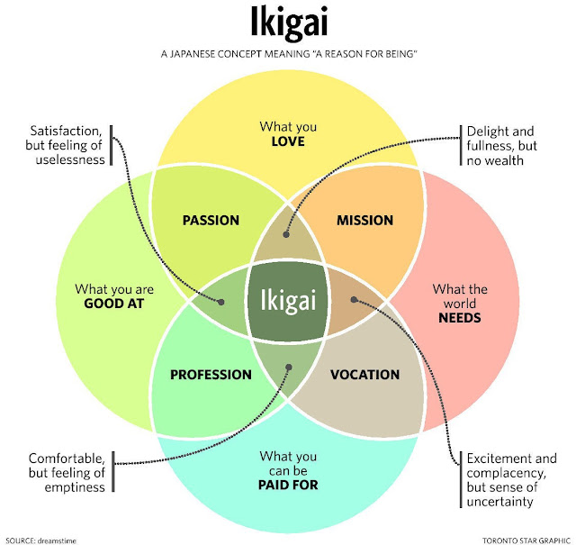 The Ikigai: Find the meaning of your life!