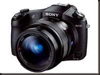 DSC-RX10