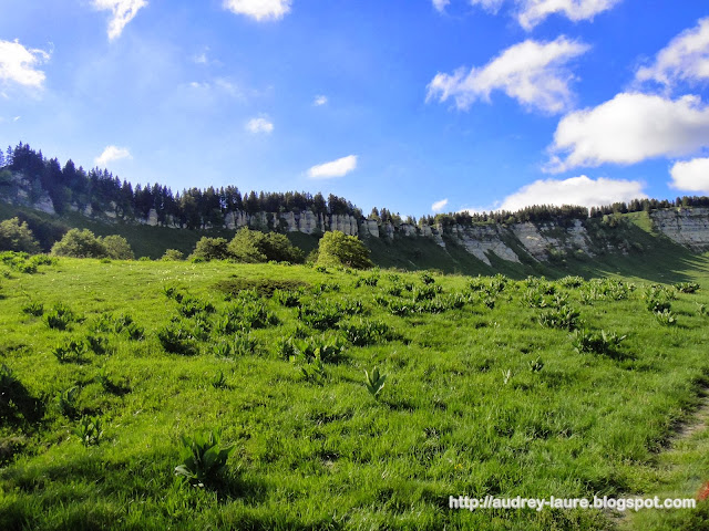 plateau de la molière