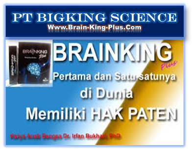 http://www.brain-king-plus.com/