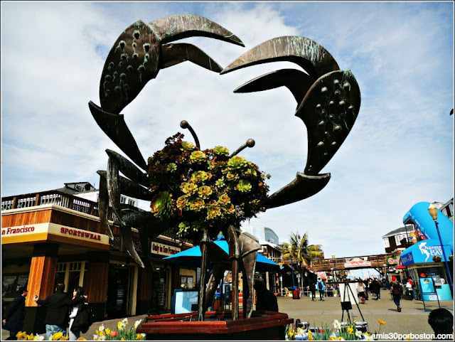 Cangrejo del Pier 39 en San Francisco