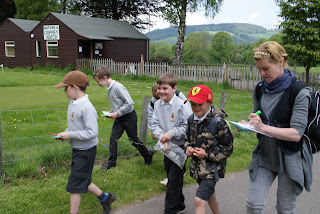 St Ronan's Primary School Osprey Watch visit