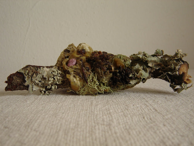 Natureza ao Peito 6