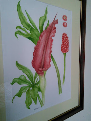 Dragon Arum Painting