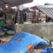 View album