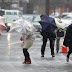 Still Raining in Japan