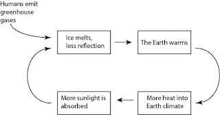 Melting ice positive feedback cycle diagram. (Illustration Credit: John Abraham) Click to Enlarge.