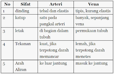 Perbedaan pembuluh vena dengan pembuluh arteri