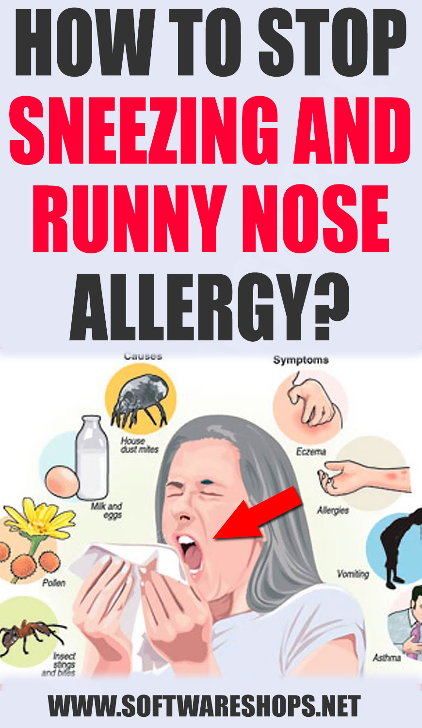 home remedies to cure Sneezing And Runny Nose Allergy