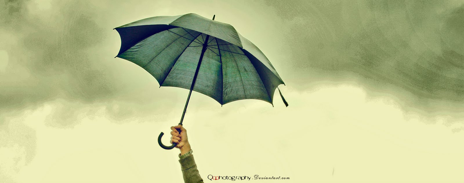 Gambar Foto Katak Pakai Payung Hujan Viva Gambar Pakek di 