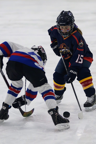 Hockey, Youth Sport Photography / Photos, Halifax / Dartmouth, Nova Scotia, SportPix.ca