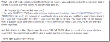 giveaway rules