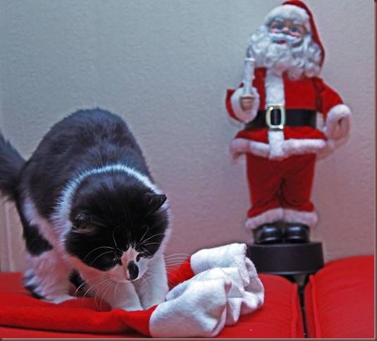 Julebilder 2010_121210_1829