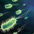 Cara Bakteri Berkembang Biak (Reproduksi Bakteri)