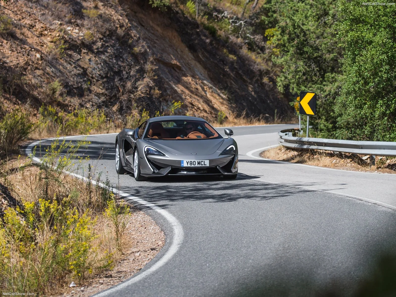 Hình ảnh siêu xe McLaren 570S Coupe 2016 & nội ngoại thất