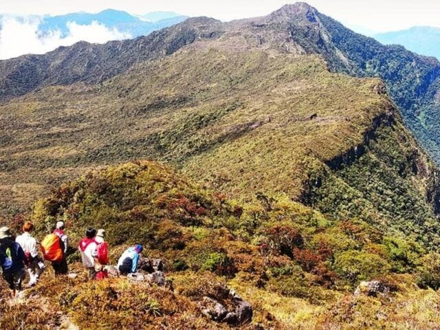 Attractions in Gunung Leuser National Park