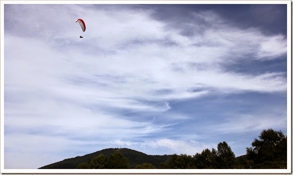 IMG_6987