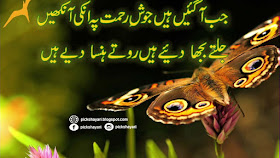 12 Rabi Ul Awal Poetry