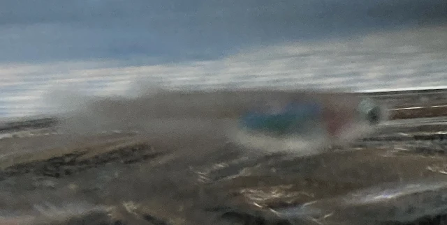 深海(しんかい)メダカ 稚魚 ３９日目