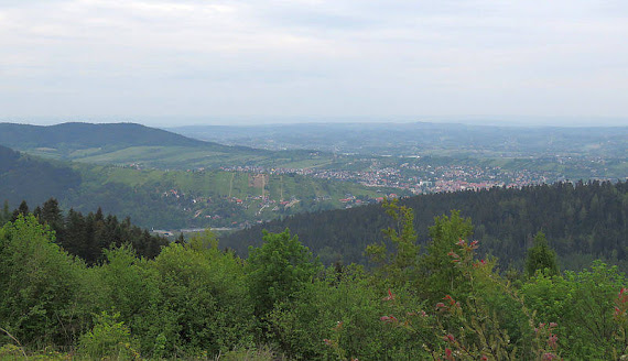 panorama