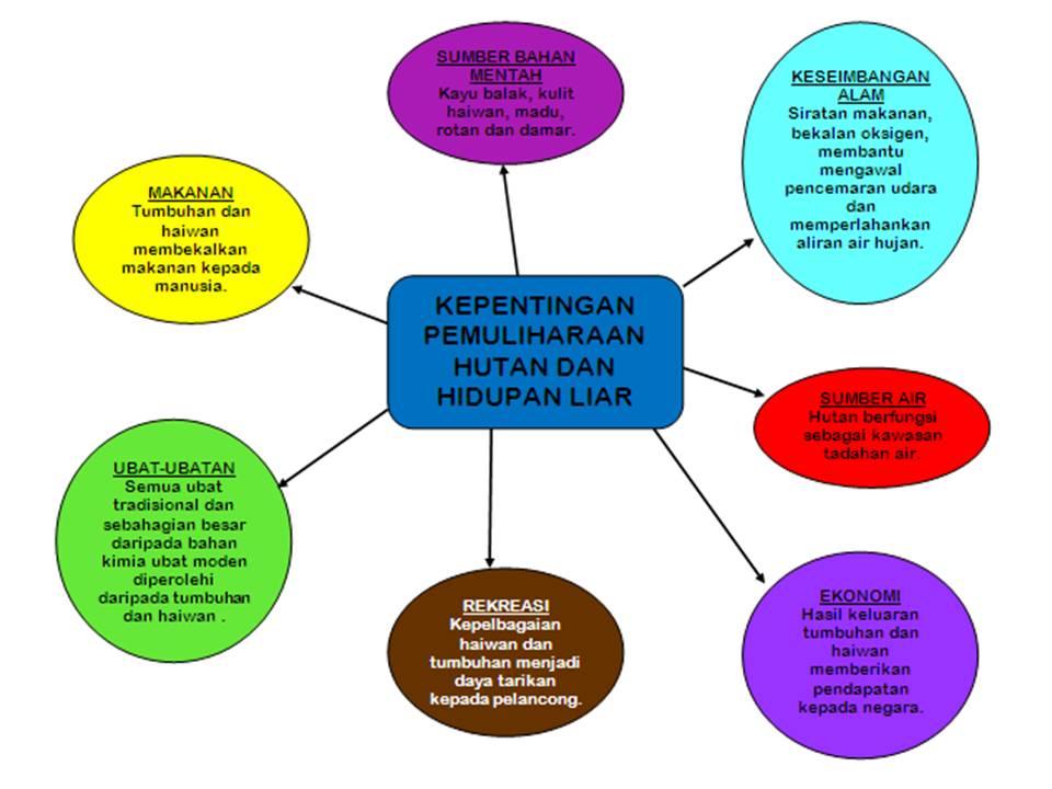 Apakah Kepentingan Hidupan Liar Di Malaysia