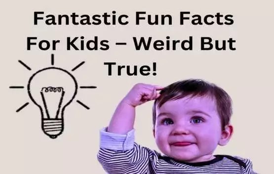  40 Fantastic Fun Facts For Kids – Weird But True!
