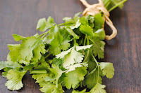 Cilantro