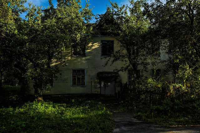 Заброшенный дом в зарослях и тенях