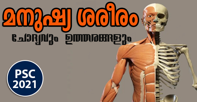 Download Question And Answers On Human Body Kerala Psc Gk Current Affairs Model Questions
