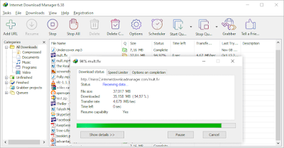 Idm Internet download manager