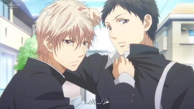 جميع حلقات انمى Kono Oto Tomare! مترجم أونلاين كامل تحميل و مشاهدة