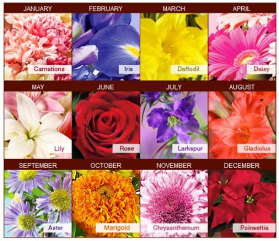 Different Types Of Flowers And Their Names