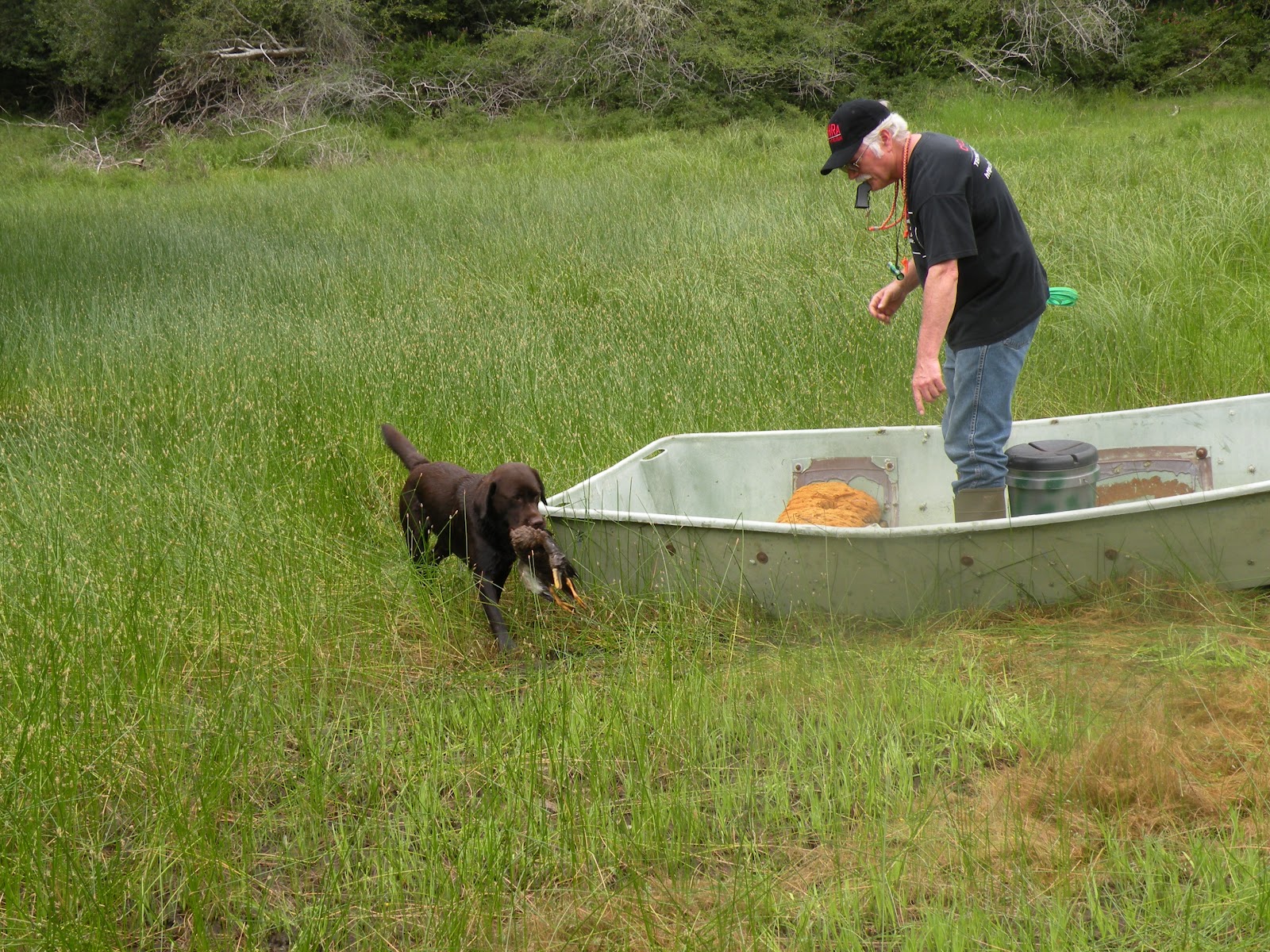 Fast Pup Dog Training: Puget Sound Retriever Club's July ...