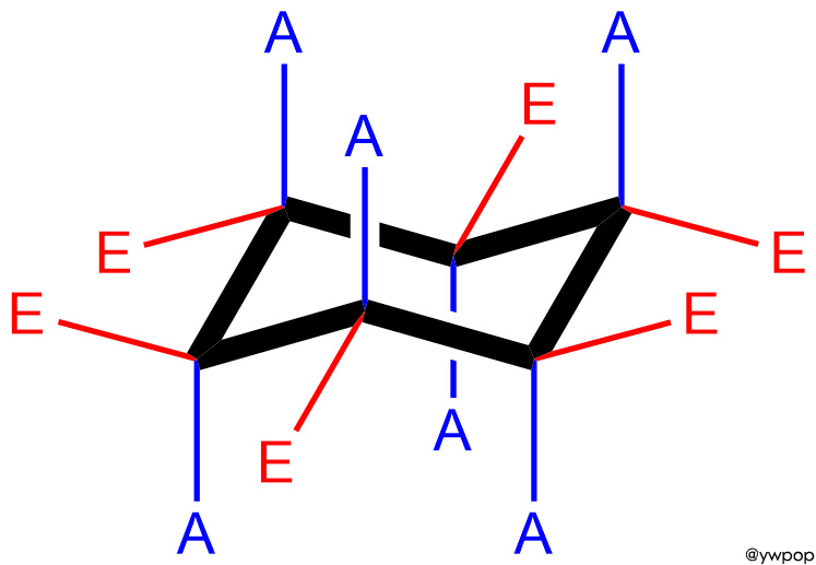 Axial and Equatorial Bonds in Cyclohexane