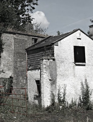 fairview oilmill ruins at clondalkin history