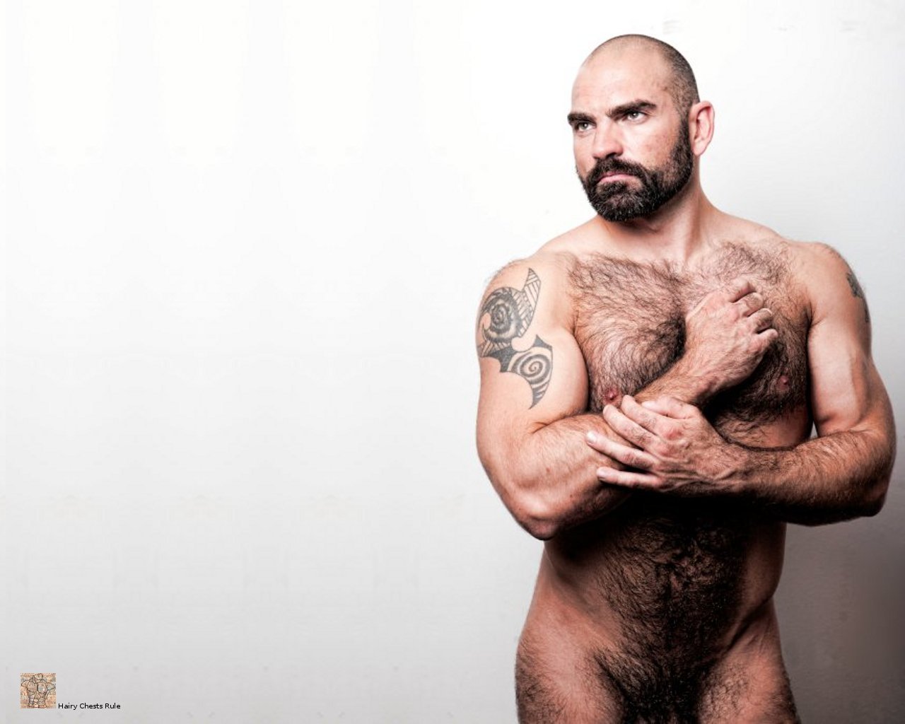 HairyChestsRuleYourDesktop: 0021-0030wallpapers of men with hairy ...