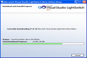 Visual Studio Lightswitch_screenshot-1
