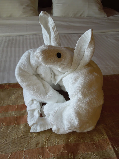 towel animal