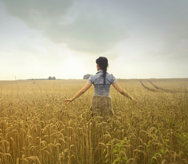 Farm girl lacy in the wheat field