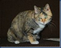 image0044