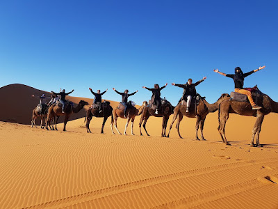 Camel trekking and 1 night in Merzouga