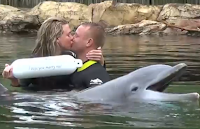 Alex Cobb uses dolphin help for marriage proposal