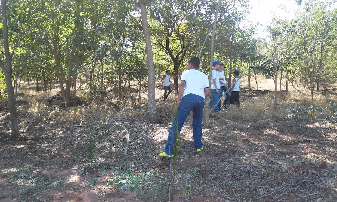 Projeto Revitalização da Escola Orlando.