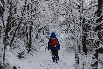 verso Siepe dell'Orso