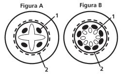 figuras